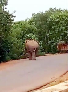 Chhattisgarh Crimes
