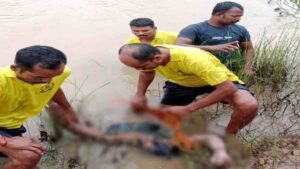 Chhattisgarh Crimes