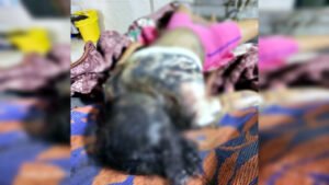 Chhattisgarh Crimes