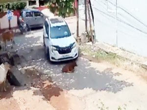 Chhattisgarh Crimes