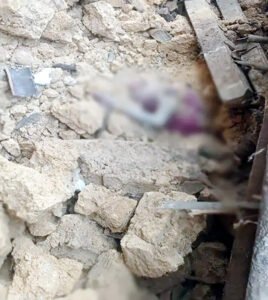 Chhattisgarh Crimes