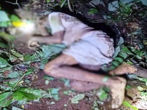 Chhattisgarh Crimes
