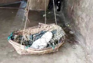 Chhattisgarh Crimes