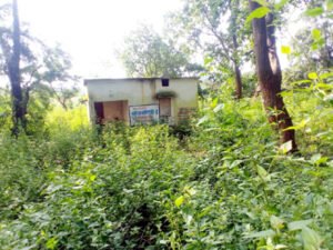 Chhattisgarh Crimes