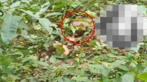 Chhattisgarh Crimes