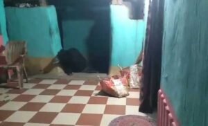 Chhattisgarh Crimes