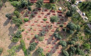 Chhattisgarh Crimes
