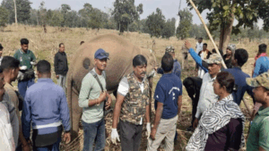 Chhattisgarh Crimes