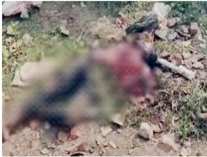 Chhattisgarh Crimes