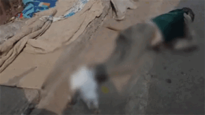 रायपुर में मिली लाश, ठंड से मौत की आशंका Chhattisgarh Crimes