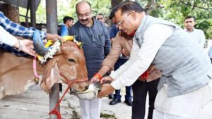 Chhattisgarh Crimes