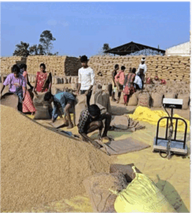 Chhattisgarh Crimes