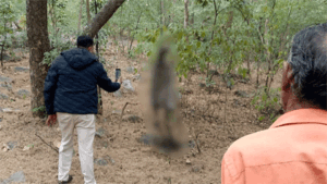 Chhattisgarh Crimes