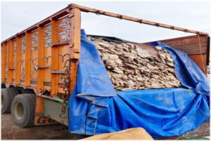 गाेवंश की खाल से भरा ट्रक पकड़ाया Chhattisgarh Crimes