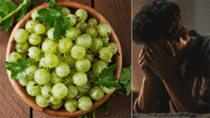 महीने भर हर रोज ऐसे खाएं आंवला, कम हो जाएगा इस साइलेंट किलर बीमारी का खतरा Chhattisgarh Crimes