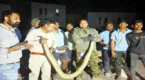 Chhattisgarh Crimes