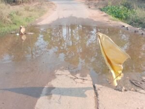 Chhattisgarh Crimes