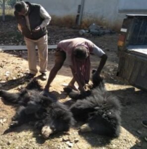 Chhattisgarh Crimes