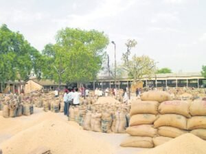 Chhattisgarh Crimes