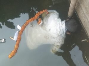 दुर्ग जिले में शिवनाथ नदी के महमरा एनीकट में रविवार दोपहर एक युवक का शव पानी में तैरता हुआ मिला Chhattisgarh Crimes