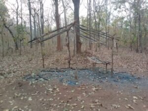 जंगलों को बेवजह आग लगाने वाले जाएंगे जेल Chhattisgarh Crimes