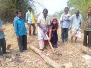 Chhattisgarh Crimes