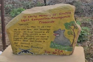 आवारा श्वान ने जवानों की बचाई जिंदगी, शहीदों जैसा दर्जा बना स्मारक Chhattisgarh Crimes