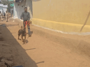 Chhattisgarh Crimes