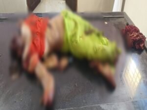 Chhattisgarh Crimes