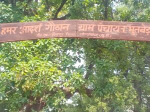 आदर्श गोठान भूतबेड़ा के बिगडे़ सौर ऊर्जा को बनाने वाला कोई नही Chhattisgarh Crimes