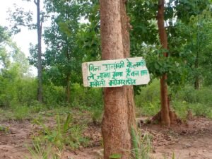 Chhattisgarh Crimes