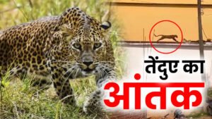 Chhattisgarh Crimes