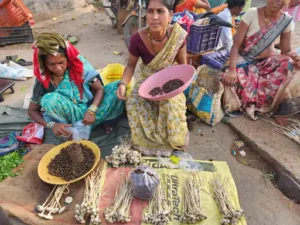 Chhattisgarh Crimes