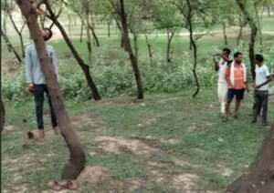 Chhattisgarh Crimes