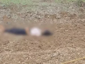 Chhattisgarh Crimes