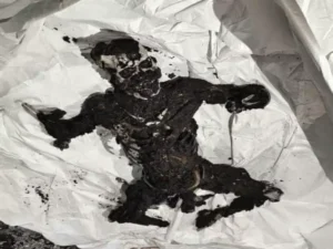 Chhattisgarh Crimes