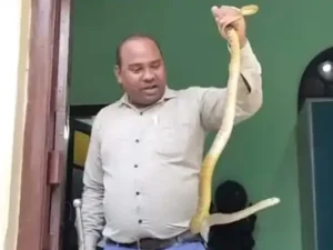 Chhattisgarh Crimes