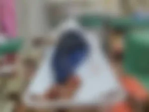 Chhattisgarh Crimes