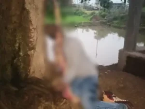 Chhattisgarh Crimes