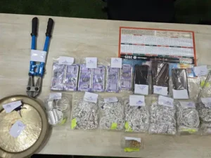 Chhattisgarh Crimes