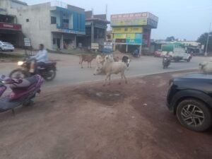 Chhattisgarh Crimes
