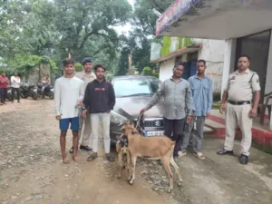 Chhattisgarh Crimes