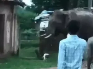 Chhattisgarh Crimes