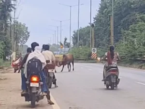 Chhattisgarh Crimes