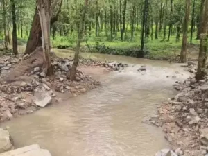 Chhattisgarh Crimes