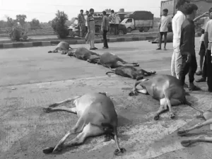 Chhattisgarh Crimes