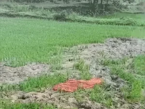 Chhattisgarh Crimes
