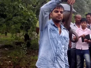 Chhattisgarh Crimes