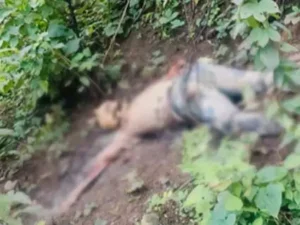 Chhattisgarh Crimes
