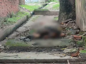 Chhattisgarh Crimes